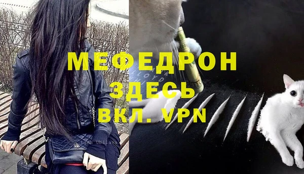 прущие грибы Михайловка